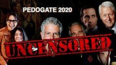 PEDOGATE 2020