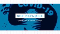 Brouillon auto
