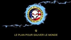 Q – Le Plan pour sauver le monde_2