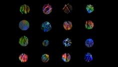 Nikon P1000 – Zooming On A Star!