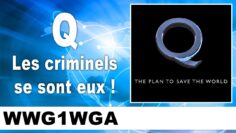 Q – Les criminels se sont eux