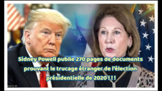 Sidney-Powell-DissidenceTV