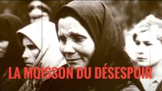 La Moisson du Désespoir, La Famine en Ukraine, 1932-33