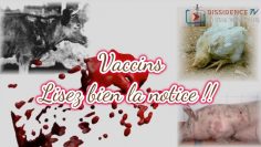 vaccins-lisez-la-notice__DissidenceTV