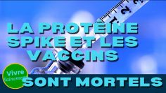 La proteine Spike et les vaccins sont mortels