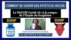 vaccin-anti-Covid-comment-en-guerir-DissidenceTV