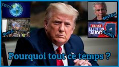 Affaire Epstein, Hunter Biden, Q, Audits, Covid : Pourquoi cela n’en finit-il pas ? #Réflexion