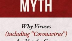 le-mythe-de-la-contagion-DissidenceTV