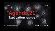 agenda-21-en-14-minutes–appauvrissement-et-controle-des-populations-DissidenceTV
