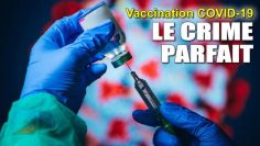 d-dimere–62—des-personnes-vaccinees-auraient-des-micro-caillots-qui-circulent-dans-le-sang-DissidenceTV