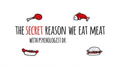 The Secret Reason We Eat Meat – Dr. Melanie Joy