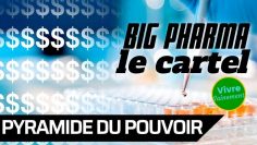 la-pyramide-du-pouvoir—big-pharma–le-cartel-DissidenceTV