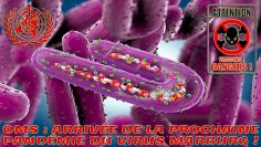 oms–arrivee-de-la-prochaine-pandemie-du-virus-marburg-covid-19-DissidenceTV