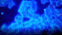 serologie—avant—apres-vaxxin—DissidenceTV