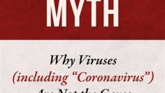 The-Contagion-Myth