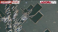 flash-special—observation-au-microscope-du-produit-injectable-pfizer-DissidenceTV