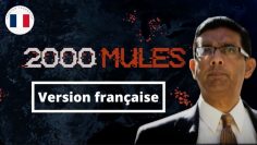 2000-mules–film-complet-double-en-francais-DissidenceTV