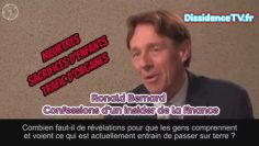 conversation-avec-ronald-bernard—partie-1-a-5-sur-5—DissidenceTV–