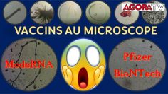 exclusif—nouvelles-observations-des-vaccins-pfizer-et-moderna—qu-est-ce-que-c-est—DissidenceTV-