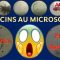 Exclusif ! Nouvelles observations des vaccins Pfizer et Moderna – Qu’est ce que c’est ?