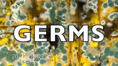 germes-vf-DissidenceTV