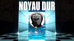 -imbrication-du-systeme-maconnique-et-du-systeme-tdi-DissidenceTV-