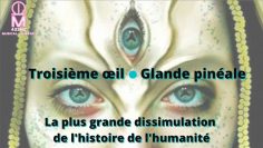 le-troisieme-oeil—la-glande-pineale—la-plus-grande-dissimulation-de-l-histoire-de-l-humanite-DissidenceTV