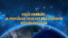 le-virus-de-marburg–la-prochaine-crise-qui-sera-declenchee-par-la-5g-DissidenceTV-