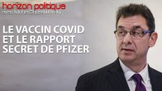 pr-michel-chossudovsy—le-vaccin-covid-et-le-rapport-secret-de-pfizer-DissidenceTV-