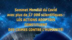 sommet-mondial-covid–avec-plus-de-17-000-scientifiques–denonce-les-crimes-contre-l-humanite-DissidenceTV-