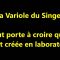 Variole du Singe recréée en Laboratoire
