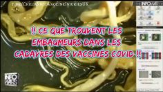 ce-que-trouve-les-embaumeurs-dans-les-cadavres-des-vaccines-covid-DissidenceTV-