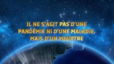il-ne-s-agit-pas-d-une-pandemie-ou-d-une-maladie–mais-d-un-meurtre–DissidenceTV-