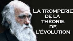la-tromperie-de-la-theorie-de-l-evolution–darwin–DissidenceTV-
