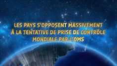 les-pays-s-opposent-massivement-a-la-tentative-de-prise-de-controle-mondial-par-l-oms–DissidenceTV-