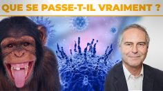 Variole du Singe : de plus en plus fou et bizarre !