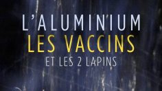 l-aluminium-les-vaccins-et-les-2-lapins-le-film-choc-de-l-association-e3m-DissidenceTV-