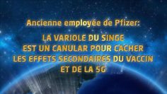 la-variole-du-singe-est-un-canular-pour-dissimuler-les-effets-du-vaccin-et-de-la-5g-DissidenceTV-