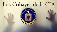 les-cobayes-de-la-cia-DissidenceTV