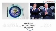 les-mondialistes—apres-le-covid-et-les-vaccins-experimentaux–la-famine-generale-organisee-DissidenceTV-