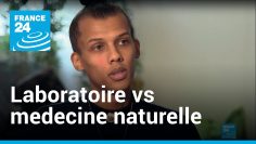 malaria-business—les-laboratoires-contre-la-medecine-naturelle—–artemisia-annua—DissidenceTV