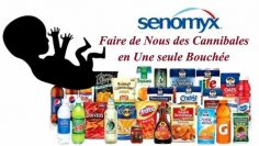 senomyx-le-business-des-fœtus-avortes-dans-l-alimentation-humaine-DissidenceTV-