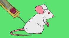 Video thumbnail for youtube video v1im7jsw9_y