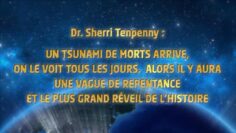 dr-sherri-tenpenny—un-tsunami-de-morts-s-annonce–puis-le-plus-grand-reveil-de-l-histoire-DissidenceTV-