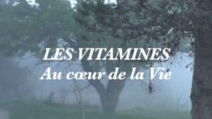 les-vitamines-au-coeur-de-la-vie—dr-alain-scohy-DissidenceTV