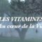 Les vitamines au coeur de la vie – Dr Alain Scohy