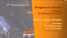drogues-et-cerveau—cannabis—un-défi-pour-la-science-DissidenceTV