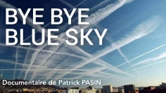 bye-bye-blue-sky–2011–DissidenceTV