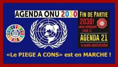 l-agenda-2021-2030-de-l-onu-est-un-piege-pour-la-majorite-ignorante-DissidenceTV