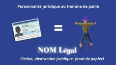 la-nature-de-la-cage–fraude-du-nom–DissidenceTV-